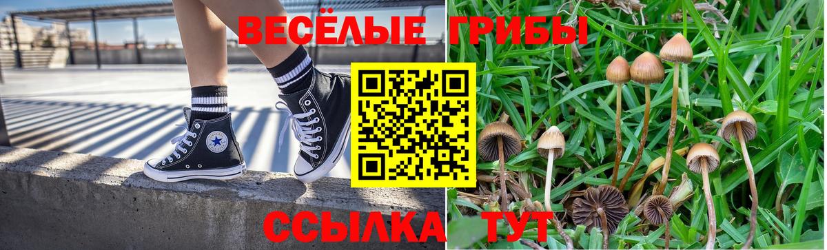 Галлюциногенные грибы мицелий  Галлюциногенные грибы Cubensis  Вход с VPN  Киселёвск 
