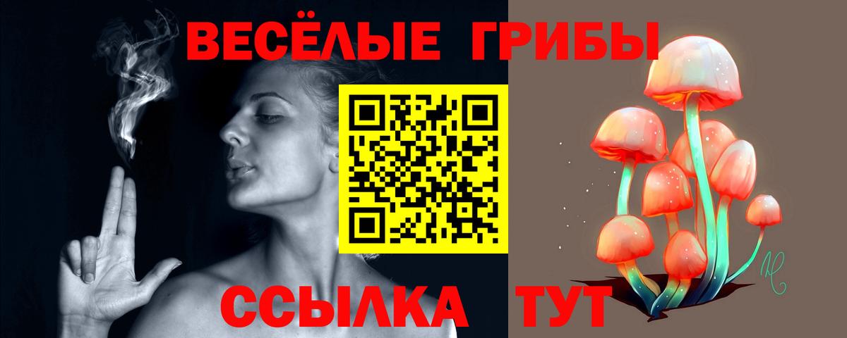 Псилоцибиновые грибы ЛСД Киселёвск